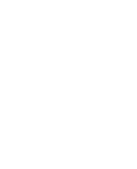 shield-image